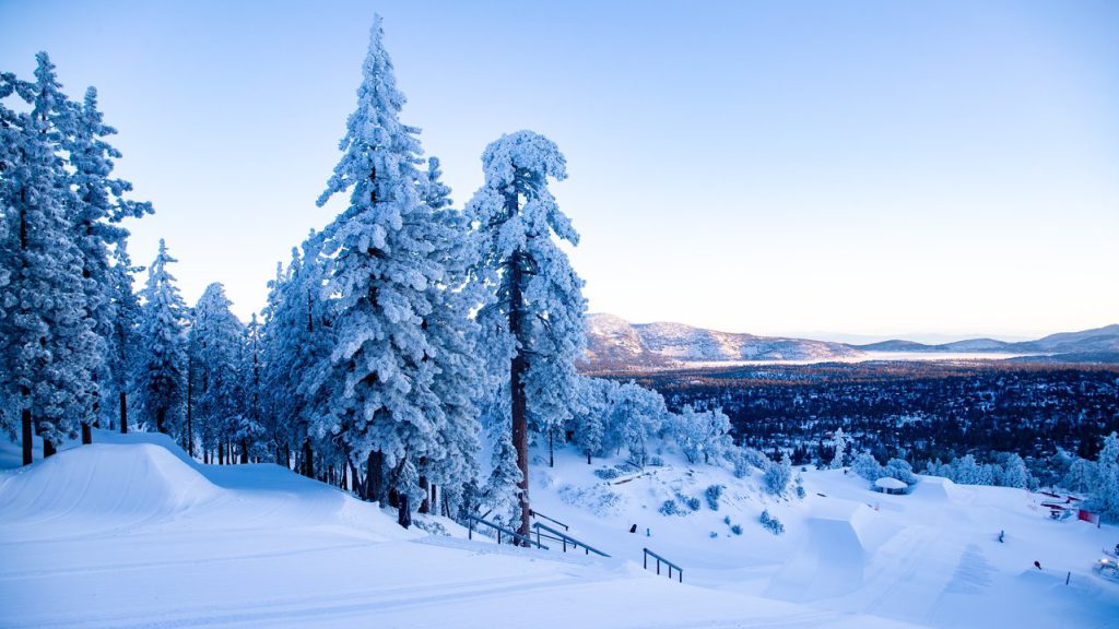 Snow-covered ski terrain with pine trees, groomed paths, and distant hills under a clear blue sky.