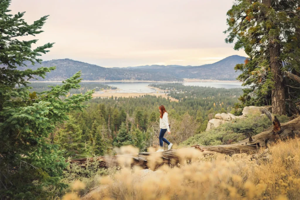 Person walking along a fallen tree trunk in a forested area overlooking a lake and mountains under an overcast sky.