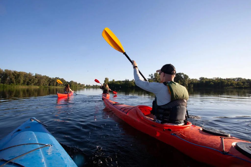 A group of people kayaking on calm water with bright kayaks and paddles.