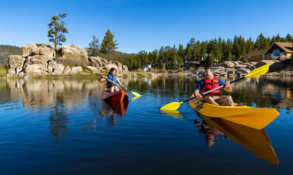 Two people kayaking on a calm lake surrounded by pine trees, rocky shores, and houses under a clear blue sky.