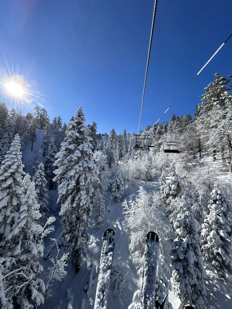 View from a ski lift at Bear Mountain showing snow-covered pine trees, bright sunshine, and clear blue skies during a perfect winter day on the slopes.